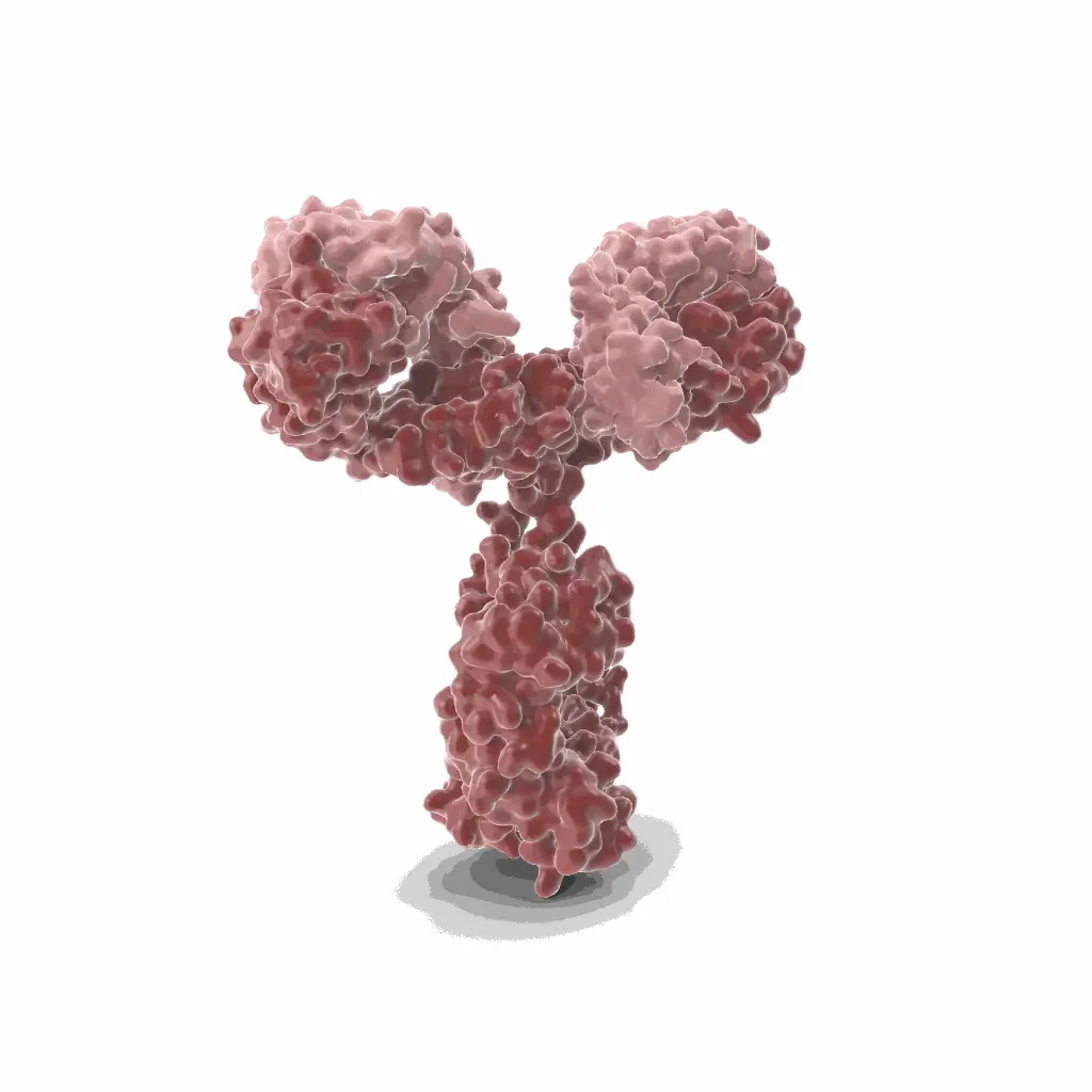 Gentaur Red 549 Mab Antibody