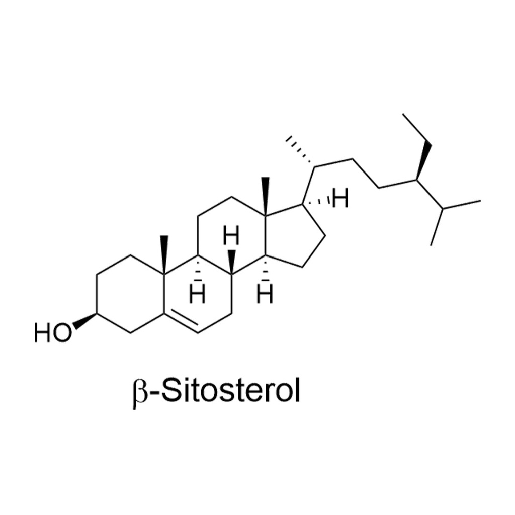 beta-sitosterol (plant-based, >99% purity) - 100mg